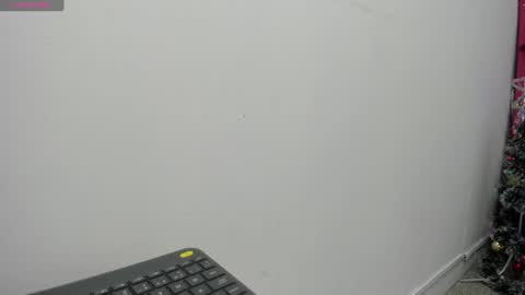 tinny online show from 31, 12, 2024