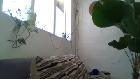 Snapshot of _tutti_frutti_ chatting on 5, 2, 2025 _tutti_frutti_ online show from 5, 2, 2025