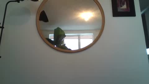 _tutti_frutti_ online show from 12, 7, 2026