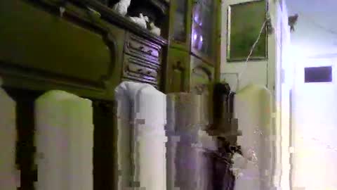 a203530 online show from 4, 2, 2026