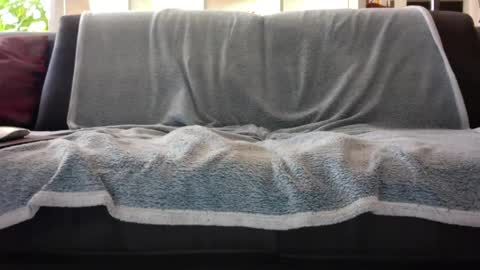 Snapshot of a_nice_dick_77 chatting on 7, 2, 2025 a_nice_dick_77 online show from 7, 2, 2025