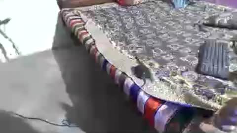 aakhan804 online show from 10, 6, 2026