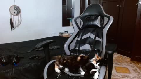 Snapshot of aarman_bannana chatting on 17, 1, 2025 aarman online show from 17, 1, 2025