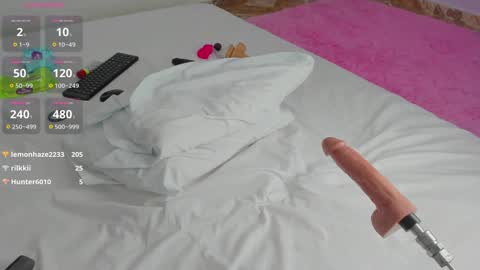   .   .   online show from 31, 12, 2024