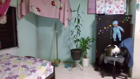 Abby online show from 3, 2, 2025