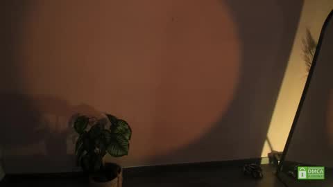 Snapshot of abbyhall__ chatting on 3, 12, 2025 INSTAGRAM abby hall82 online show from 3, 12, 2025