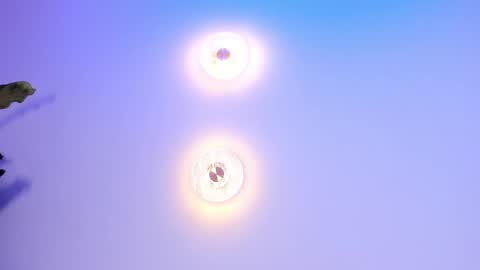 Snapshot of abi_ryder chatting on 27, 9, 2025 Abi online show from 27, 9, 2025