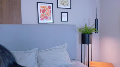 abiehils online show from 11, 3, 2026