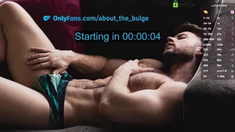 Snapshot of about_the_bulge chatting on 6, 3, 2025 about_the_bulge online show from 6, 3, 2025