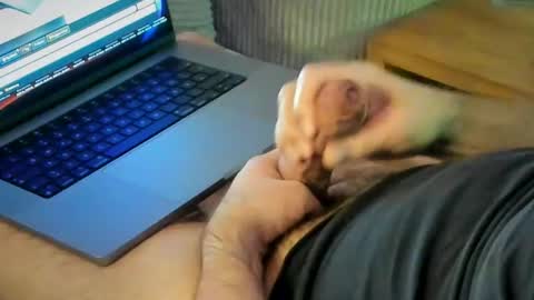 ACHTINCH online show from 15, 1, 2026