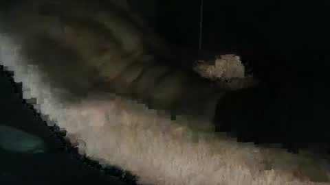 acid_lab online show from 16, 12, 2024