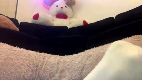 Snapshot of adam_1792 chatting on 18, 2, 2025 ENIGMA TZX5114 online show from 18, 2, 2025