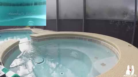 Snapshot of adamevetv chatting on 29, 11, 2025 Adam And Eve online show from 29, 11, 2025