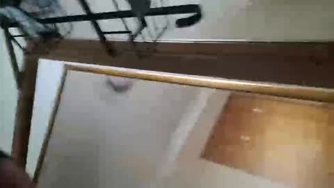 Snapshot of adamlucas54321s773712 chatting on 8, 10, 2025 adamlucas54321s773712 online show from 8, 10, 2025