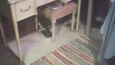 adamsny online show from 21, 4, 2026