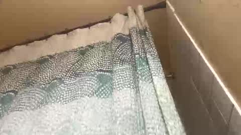 addictedtobustnloads1 online show from 12, 1, 2026