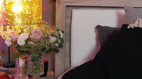 Snapshot of addictivesin chatting on 8, 1, 2025 GAbby----Onlyfans online show from 8, 1, 2025