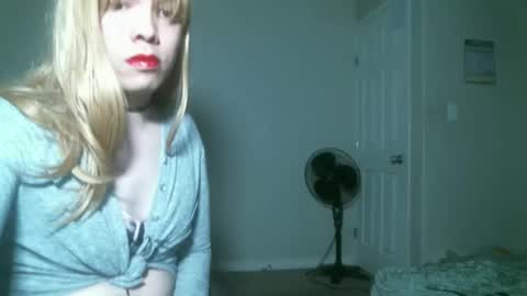 adelaideweight online show from 31, 10, 2025