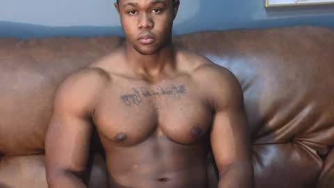 Snapshot of adonisknigh chatting on 3, 12, 2024 Adonis Knight online show from 3, 12, 2024