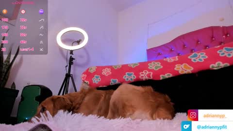 Snapshot of adriannyp chatting on 18, 9, 2025 adrianny online show from 18, 9, 2025