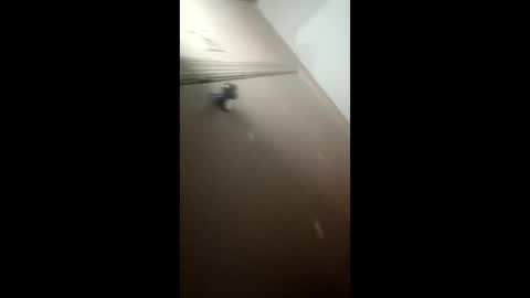 Snapshot of afnuke000 chatting on 4, 3, 2026 afnuke000 online show from 4, 3, 2026