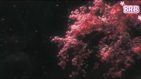 Liza online show from 12, 4, 2026