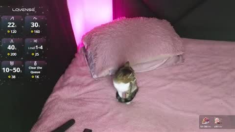Snapshot of alahia_demon chatting on 15, 1, 2025 alahia online show from 15, 1, 2025