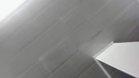 Maeve  online show from 3, 1, 2025