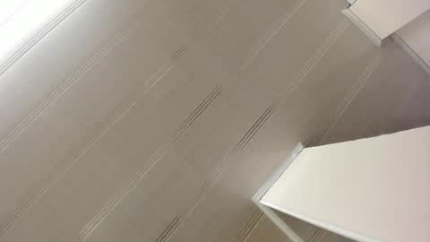 Maeve  online show from 7, 1, 2025