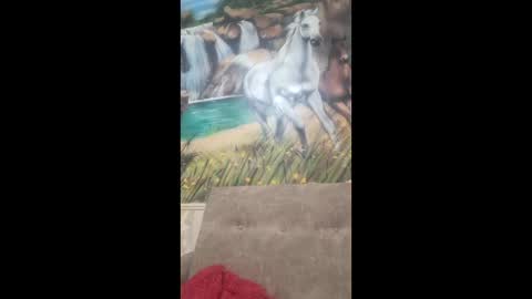 albina online show from 9, 2, 2026