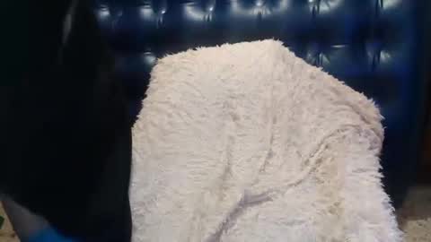 Snapshot of alenablack chatting on 14, 2, 2025 Luly online show from 14, 2, 2025