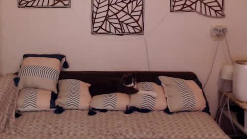 Snapshot of alessandra_foxy chatting on 25, 2, 2025 Sandra online show from 25, 2, 2025