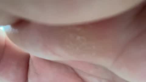 Alessandrobuilder online show from 14, 4, 2026