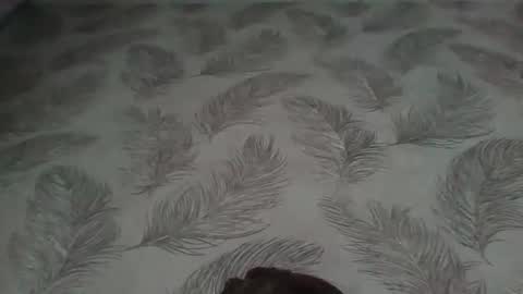 Snapshot of aletta_oushen chatting on 12, 1, 2025 Aletta Oushen online show from 12, 1, 2025