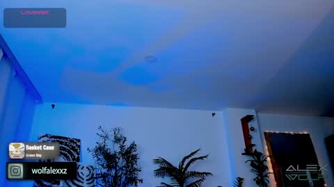 Alex Wolf online show from 17, 1, 2025