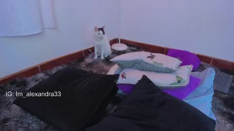 Snapshot of alexa_will chatting on 31, 3, 2026 alexa_will online show from 31, 3, 2026