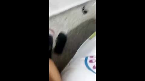 Snapshot of alexamdergal chatting on 9, 1, 2025 Alexamdergal online show from 9, 1, 2025