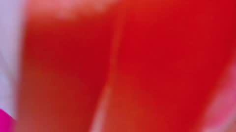 ALEXANDRA online show from 4, 2, 2025