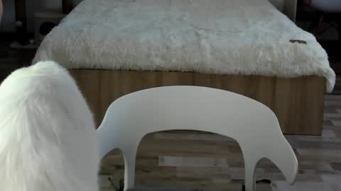 Snapshot of alexarti chatting on 19, 2, 2026 Alex online show from 19, 2, 2026