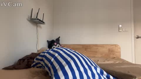 alexfilmx online show from 16, 10, 2025