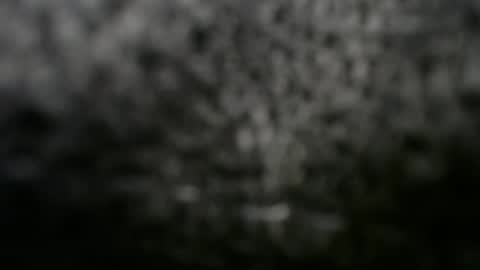 Snapshot of alexfresh84 chatting on 8, 3, 2025 Doggystyle online show from 8, 3, 2025