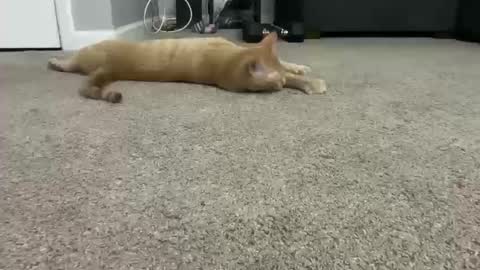 Snapshot of alexispaige06 chatting on 11, 10, 2025 alexispaige06 online show from 11, 10, 2025