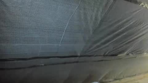 alfiesolomons87 online show from 2, 10, 2025