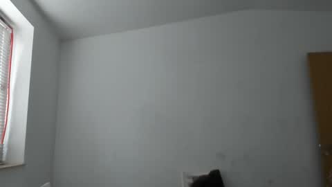 alfiesolomons87 online show from 14, 11, 2025