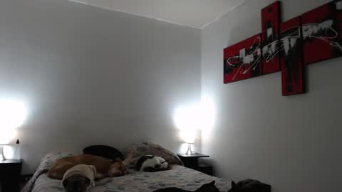 Snapshot of alguien_mas01 chatting on 12, 3, 2025 cami online show from 12, 3, 2025