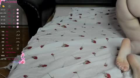 Alice online show from 21, 12, 2025