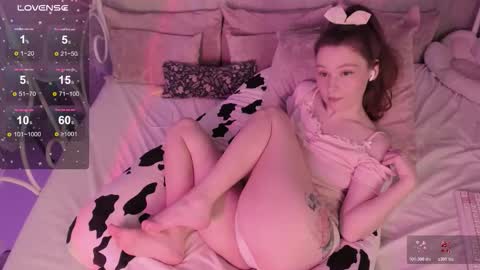 Alice online show from 14, 1, 2026