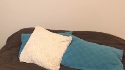 Snapshot of alice_middle01 chatting on 11, 9, 2025 Alice online show from 11, 9, 2025