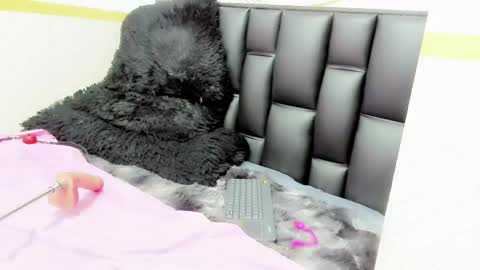 Snapshot of alicee_mature chatting on 12, 5, 2026 alicee online show from 12, 5, 2026