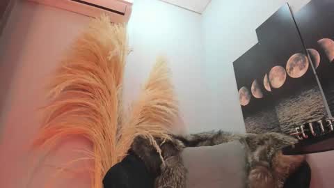 ALICE  online show from 11, 11, 2025